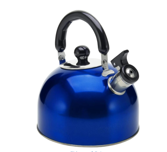 Stainless Steel Stovetop Whistling Tea Kettle 3L with Handle, Blue