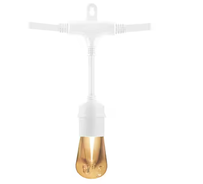 24 Bulb 48 ft. Outdoor/Indoor White Vintage LED String Lights, Acrylic Edison Bulbs