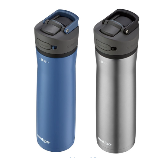 Contigo 24oz Stainless Steel Water Bottle with Straw & Handle 2PK