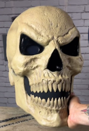 Home Accents Holiday Standard Skelly Scary Head