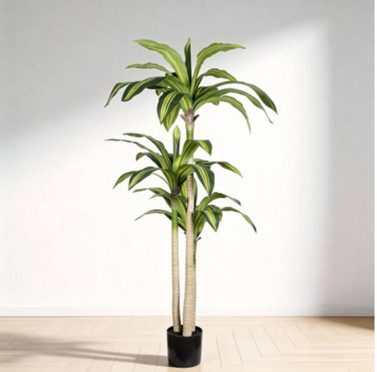 5 ft. Artificial Dracaena Tree with Black Plastic Pot, 1pc/set